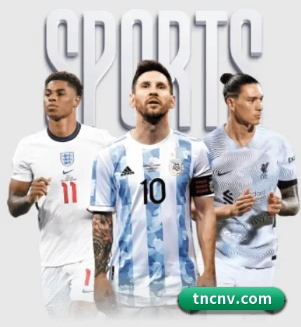 五大服务分区,信息按项目分类 - 多运动项目内容板块